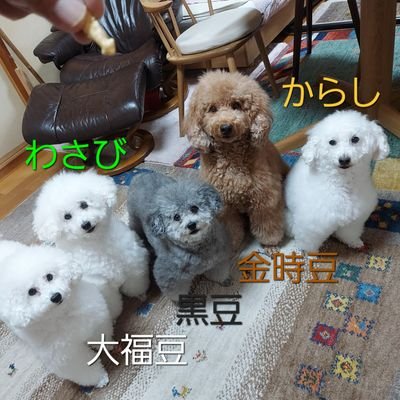 つくね　ME 8a2945dc1d938dd5ae926ebea04939