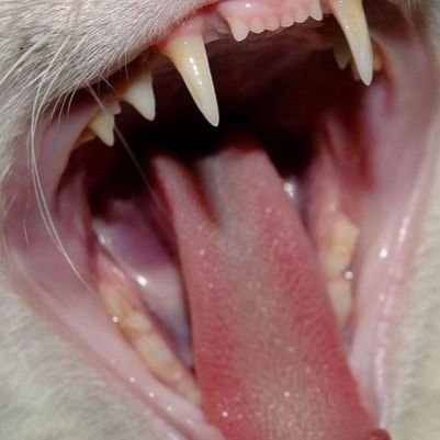 jordansntx's profile picture. 