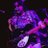 el_surberino's profile image