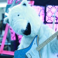 くまにっく (@kuma_nicc) 's Twitter Profile
