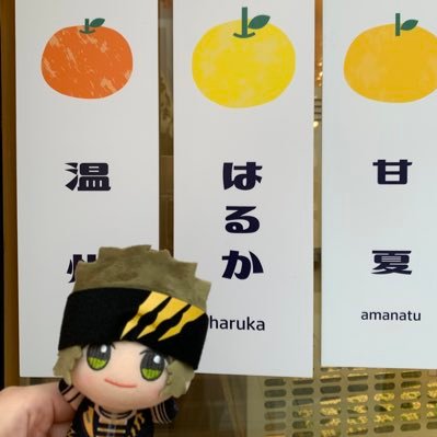 はるかPさんのプロフィール画像