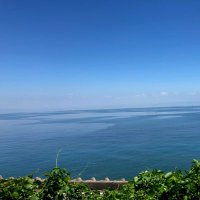 しのぶ (@shinobu_01234) 's Twitter Profile Photo