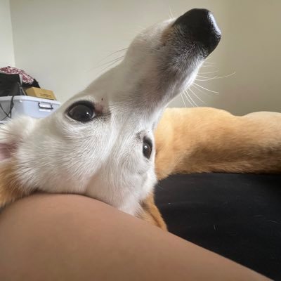 cacz011's profile picture. 