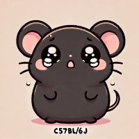 🥺ぴえんねずみ🐀😵💫 (@pien_nezumi) 's Twitter Profile Photo 🥺ぴえんねずみ🐀😵💫 (@pien_nezumi) 's Twitter Profile Photo