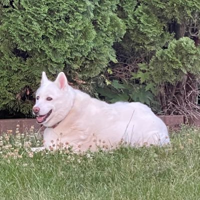 HammyTheHambone's profile picture. What a wild time to be alive. We are living in a movie.