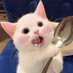 lovesuly (@vpn04149) Twitter profile photo lovesuly (@vpn04149) Twitter profile photo