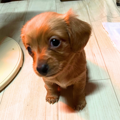 seikoi24's profile picture. 知りたいこと、気になることは詳しく解説していきます。