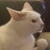 Erwin (@erwineich1) Twitter profile photo Erwin (@erwineich1) Twitter profile photo