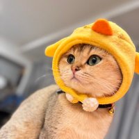 maruay family Official (Slow) (@maruay01) 's Twitter Profile Photo