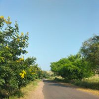 Shiva Patil (@shivapatil52151) 's Twitter Profile Photo Shiva Patil (@shivapatil52151) 's Twitter Profile Photo