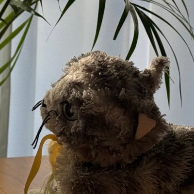 みらさんのプロフィール画像