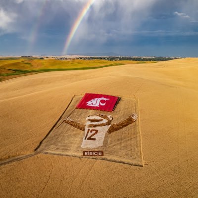 cougcowboy87's profile picture. 