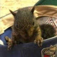 MiniWayFree's profile picture. Crypto enthusiast, mathematician, gaming, #SundayFunday