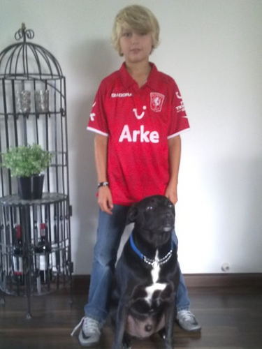 Dennissje99's profile picture. Add me nieuwe twitter:Dennis_Vwijkje!