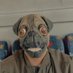 Nick 78 (@nicolastol87821) Twitter profile photo Nick 78 (@nicolastol87821) Twitter profile photo