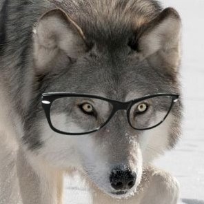 Kaipo_Rozwolf's profile picture. Follow me for bitching about wrestling, Animal Crossing pictures, and general shitposting.