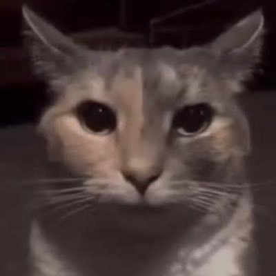 kushuu__15's profile picture. 