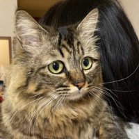 べる (@wave5023p) 's Twitter Profile