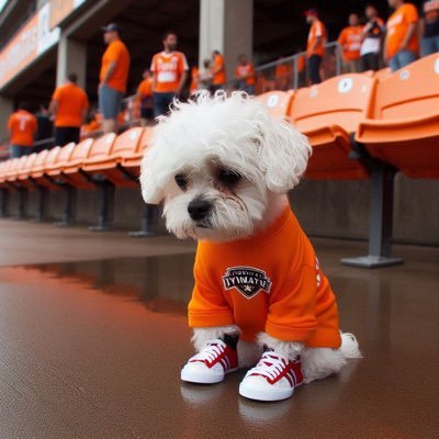 Houston Dynamo| Cruz Azul | Barcelona | Arsenal | Houston Rockets Noticed that I was unfollowed by @HoustonDynamo on 11-28-23 :(