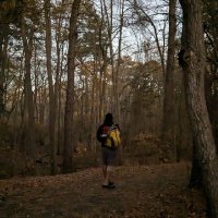 Devansh: Machine Learning Made Simple (@machine01776819) 's Twitter Profile