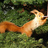 LodgeinKippford's profile image