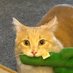 Tendy Skrimp 🍗🦐 (@shrimpteddy) Twitter profile photo Tendy Skrimp 🍗🦐 (@shrimpteddy) Twitter profile photo