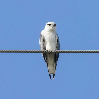 mumumilai5's profile picture. not accepted conduct
I blocked you definitely because you’re an fking idiot.