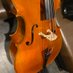 Mocco_Mika Shibata (@mocco_cello) Twitter profile photo Mocco_Mika Shibata (@mocco_cello) Twitter profile photo