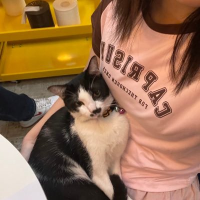 Teoy_ynk's profile picture. Newjeans 🐰 & Enhypen 🐶 lover‼️💗