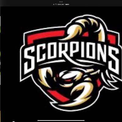 In Calgary special Olympics and flames fan and in team scorpions taking by Jeff koay