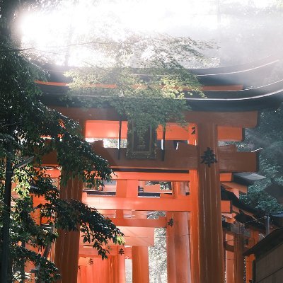 Seungabunga's profile picture. 