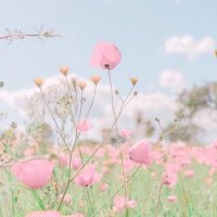 ゆう (@yuyu_31o) 's Twitter Profile