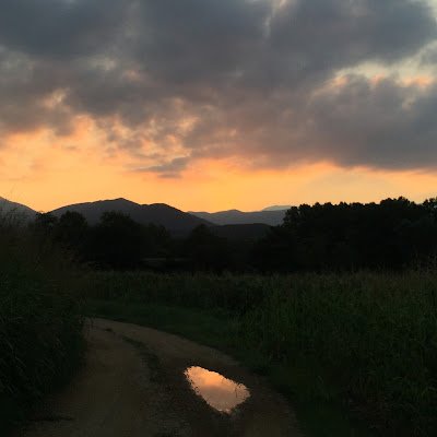 SCM1520877's profile picture. 