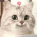 𝐨𝐧𝐢𝐳+82 (@onyouri__ze) Twitter profile photo 𝐨𝐧𝐢𝐳+82 (@onyouri__ze) Twitter profile photo
