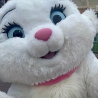 なつ (@bhht84p) 's Twitter Profile