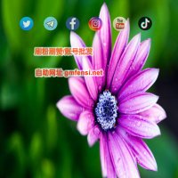 电报频道刷订阅 telegram电报群刷成员 电报会员代开 账号帖子表情转发量浏览量tg (@dsriniv90347858) 's Twitter Profile