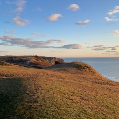 jobohmic's profile picture. millennials/garbage graduate student/NEED NOT FOLLOW THIS ACCT/地球裏の小国のGDPから隣のオタク業務までクソ広く草原を生成