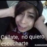 Capitán pepperoni (@pablopalaciopa1) 's Twitter Profile