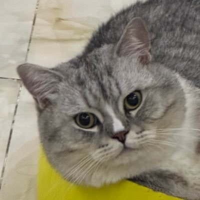 wyse1235's profile picture. 