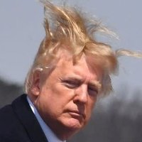 Donald J. Trump (FanPage) (@donaldtrump_fp_) 's Twitter Profile Photo Donald J. Trump (FanPage) (@donaldtrump_fp_) 's Twitter Profile Photo