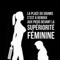 soumis aux femmes (@enviedechienne) 's Twitter Profile