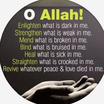 timaliamt's profile picture. 