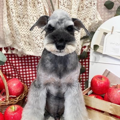 waichan1224's profile picture. フォルモサを初めて観た時この人❗️と思い、そこから縣さん沼に入りました。いつかトップになる日を心待ちにして応援し続けていきます。無言フォローお許し下さい🐄