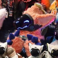 FredTheProtogen ! (@fredtheprotogen) 's Twitter Profile