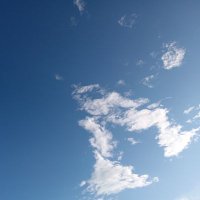 yangjun@qq.com (@yangjunqqc12848) 's Twitter Profile