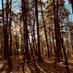 Zahra Soh (@photosbyzs) Twitter profile photo Zahra Soh (@photosbyzs) Twitter profile photo