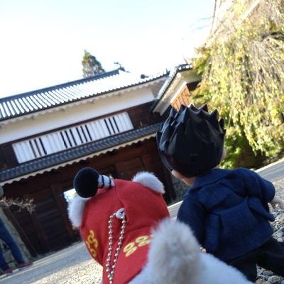 🌸🍡ｱｷﾋﾟ🐼🌸さんのプロフィール画像