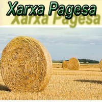 Xarxa Pagesa (@xarxapagesa) 's Twitter Profile