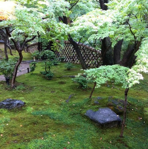 NasserAlJaidah's profile picture. 