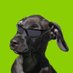 guinis (@djwinix) Twitter profile photo guinis (@djwinix) Twitter profile photo